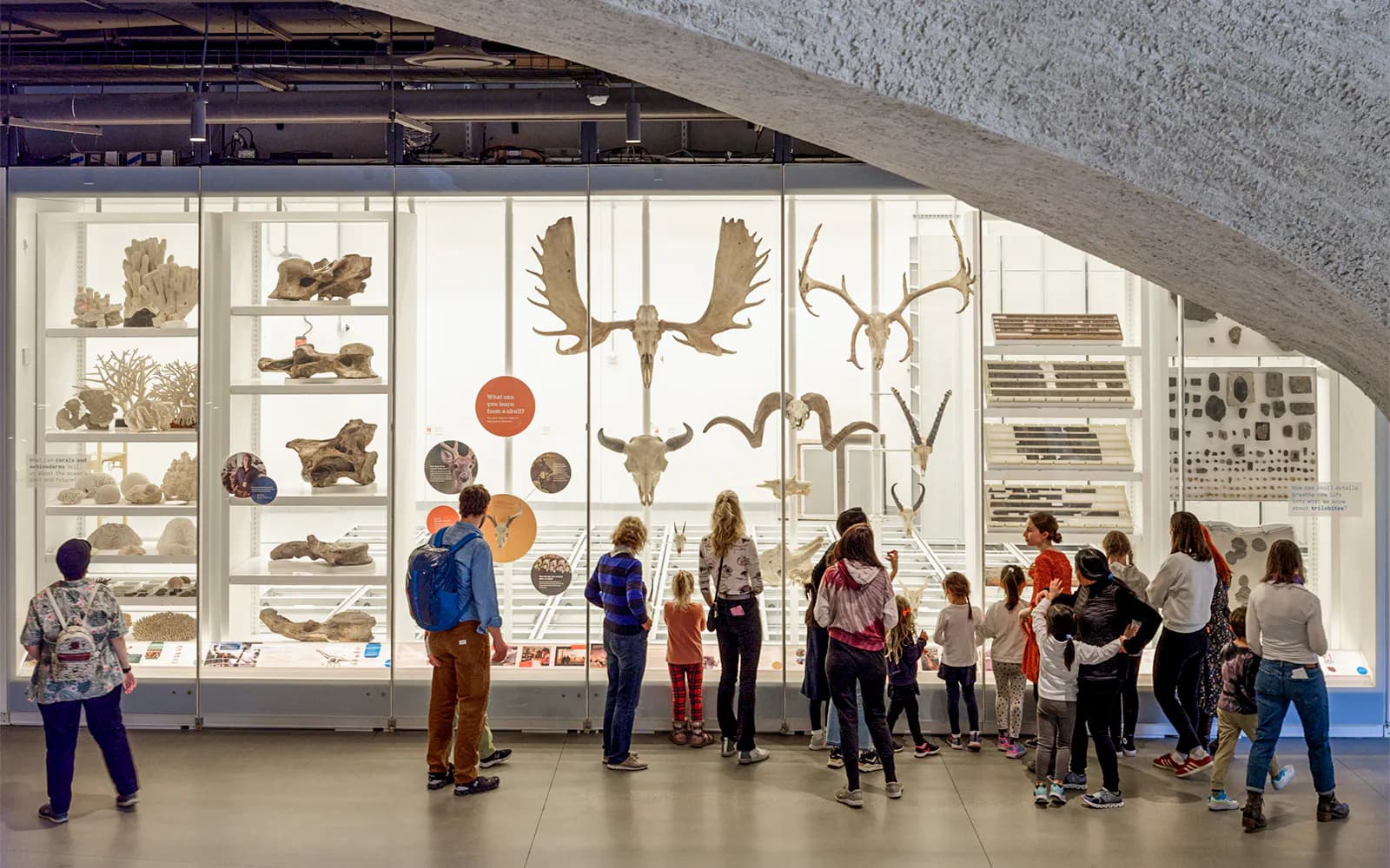 American Museum of Natural History Tickets - image 2
