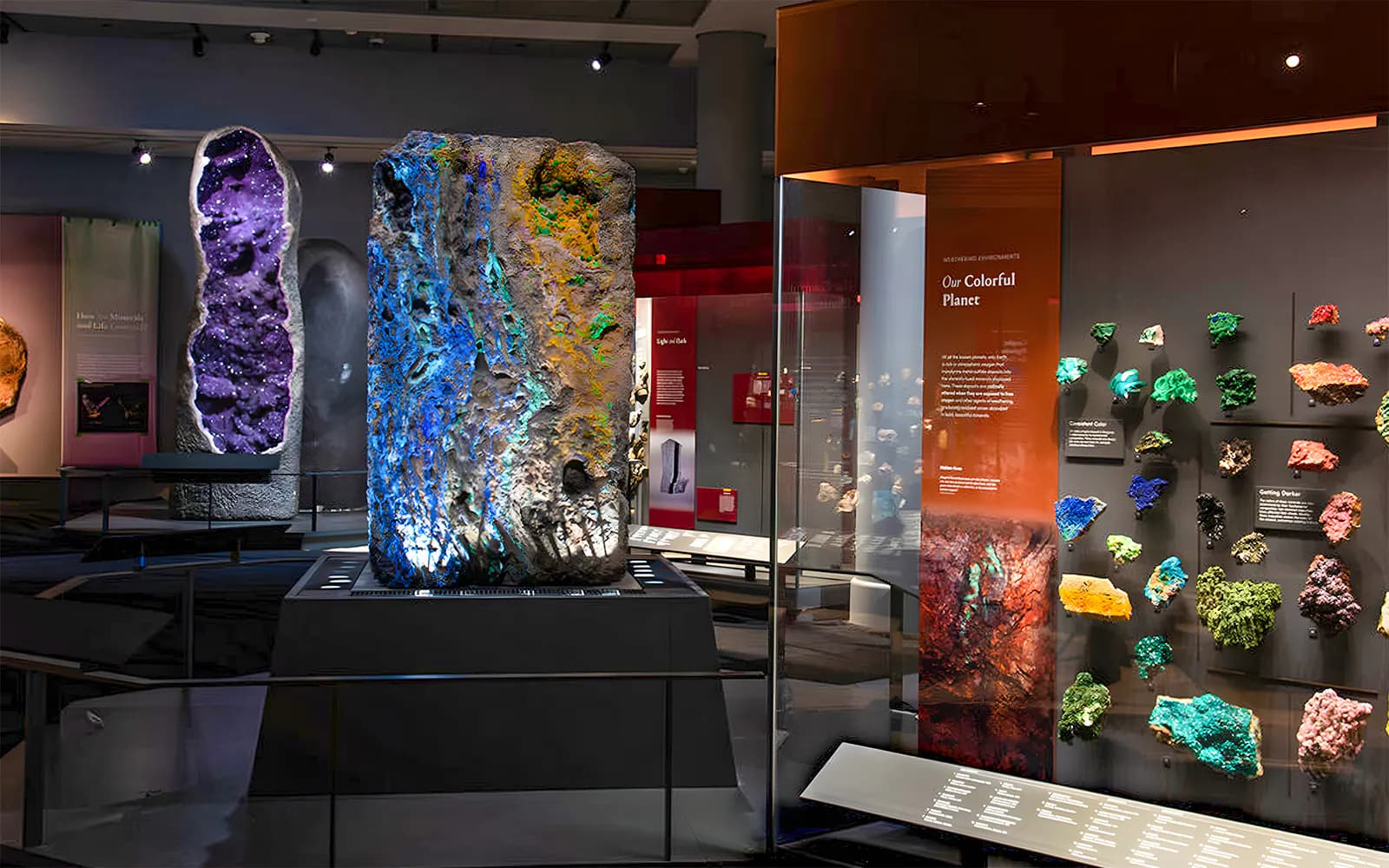 American Museum of Natural History Tickets - image 4