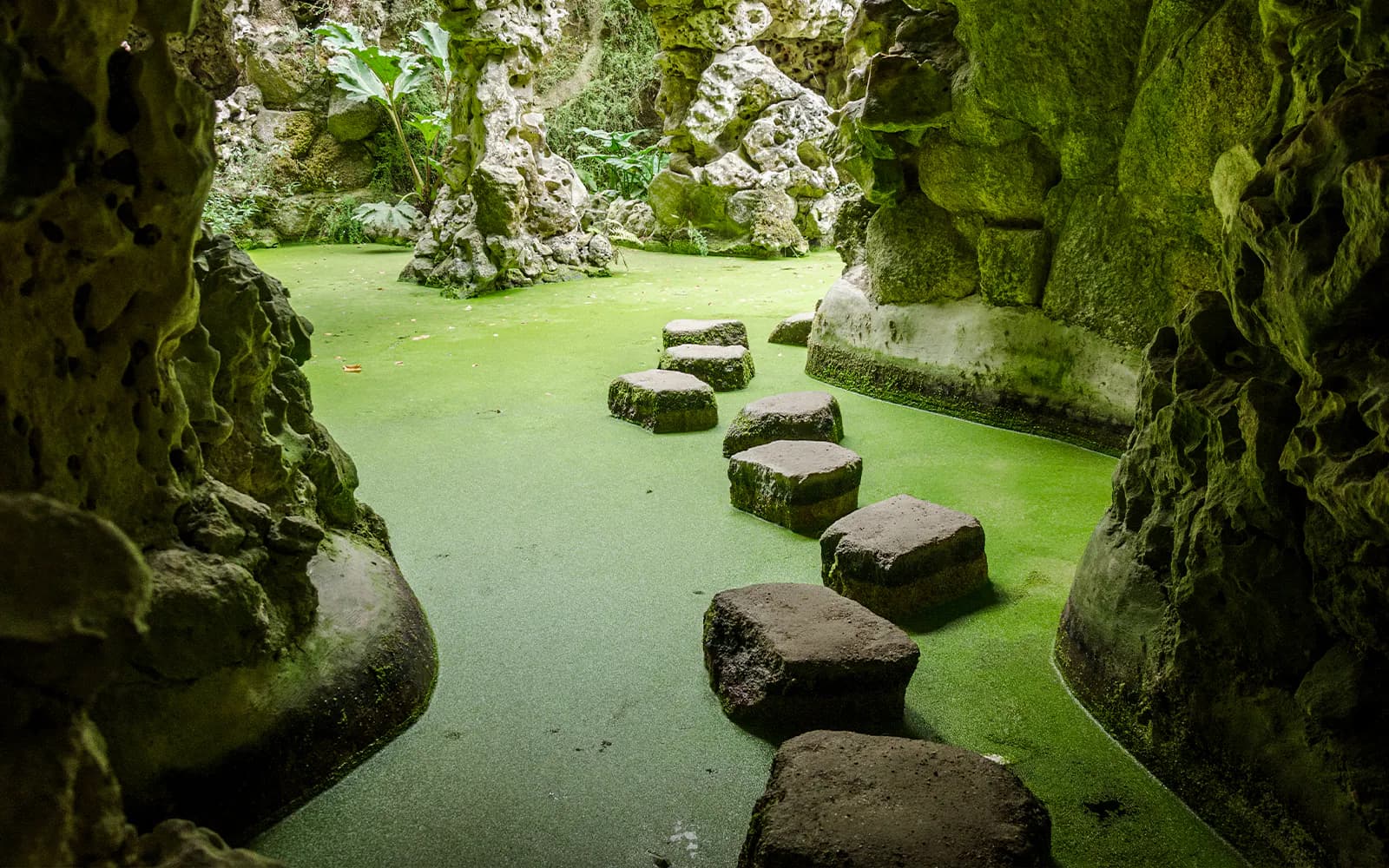 Quinta da Regaleira Tickets - image 4
