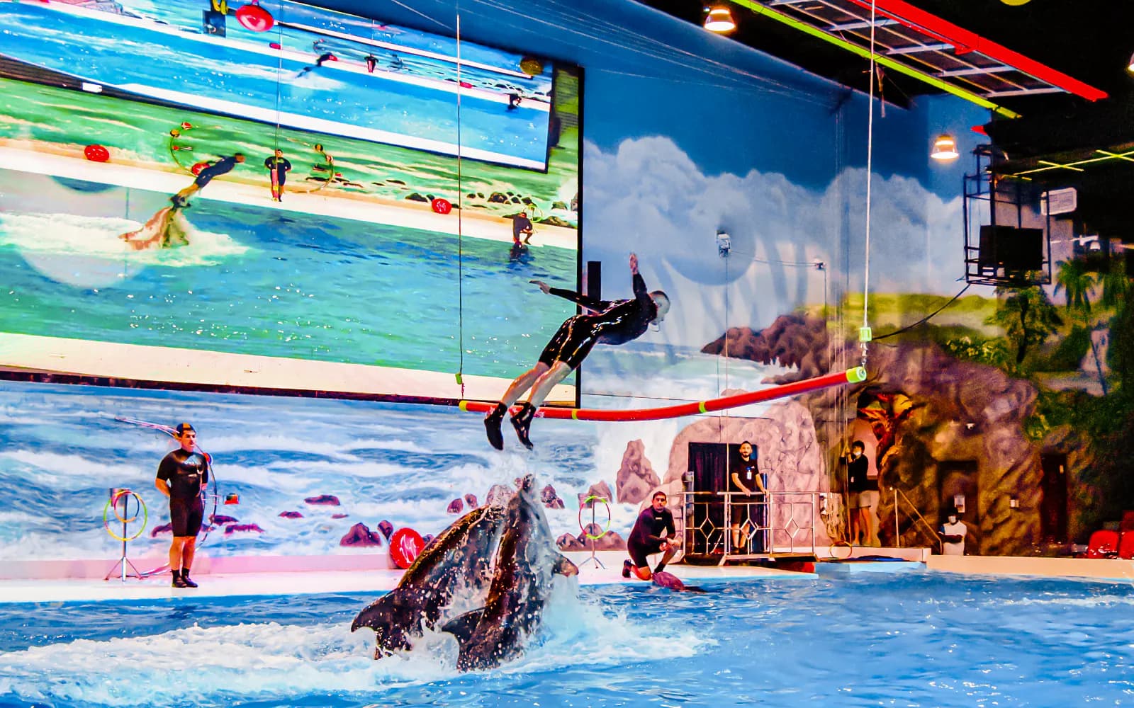 Dubai Dolphinarium: Dolphin & Seal Show Tickets - image 4