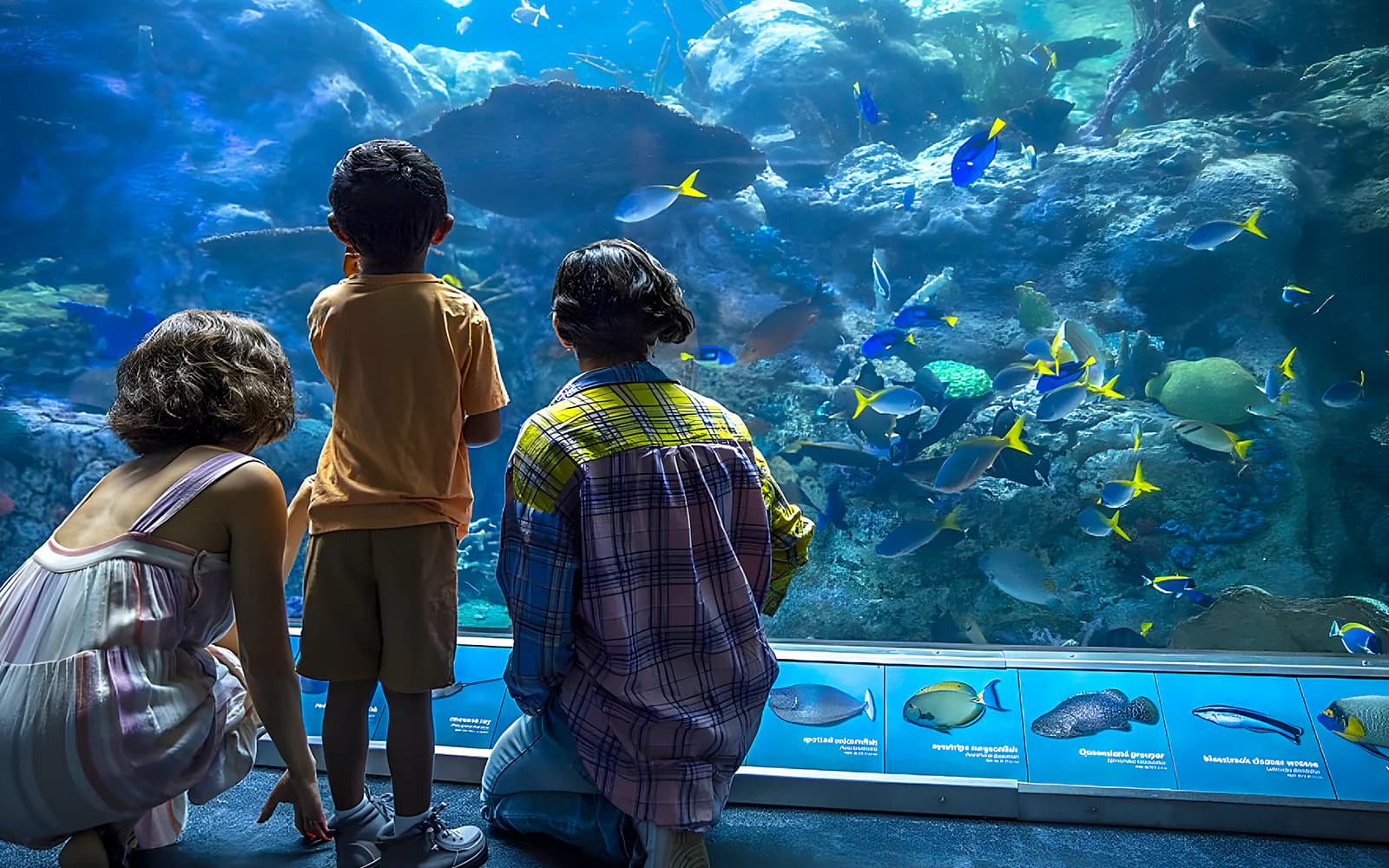Aquarium of the Pacific Skip-the-Line Tickets