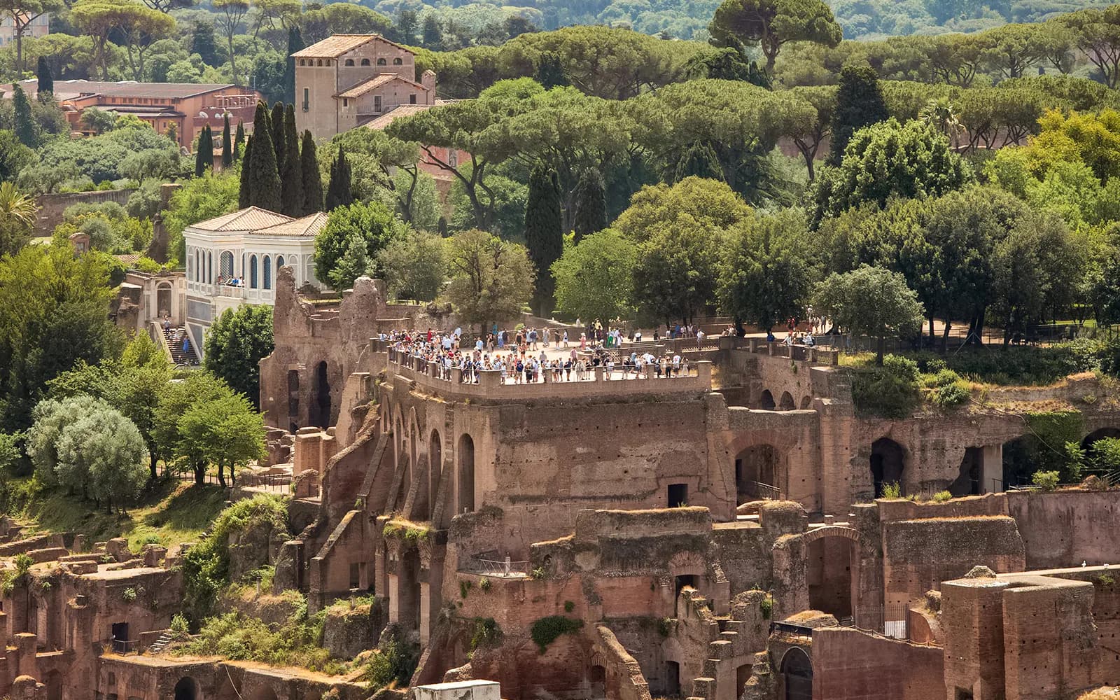 Colosseum, Palatine Hill & Roman Forum Entry Pass - image 6