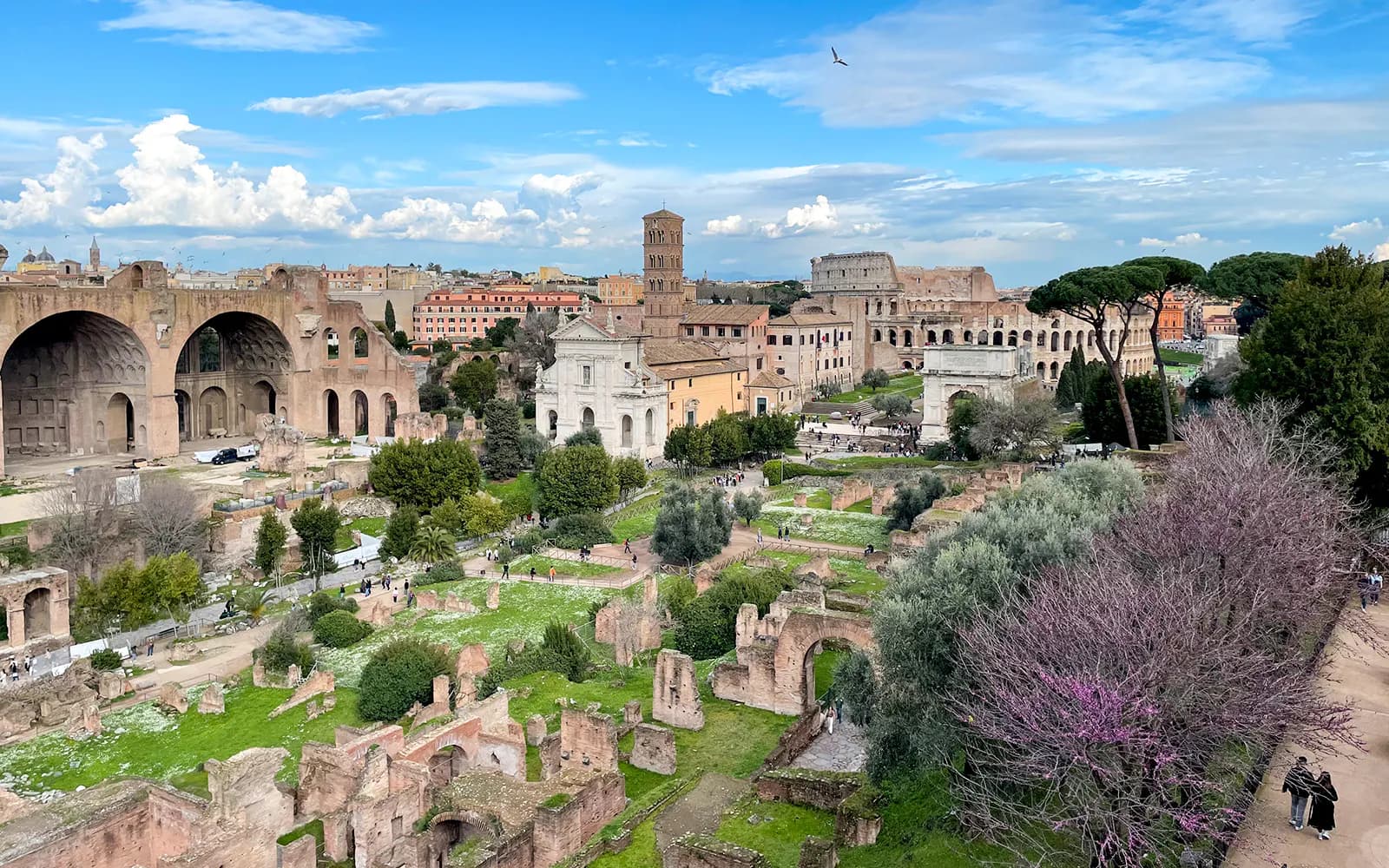 Colosseum, Palatine Hill & Roman Forum Entry Pass - image 7