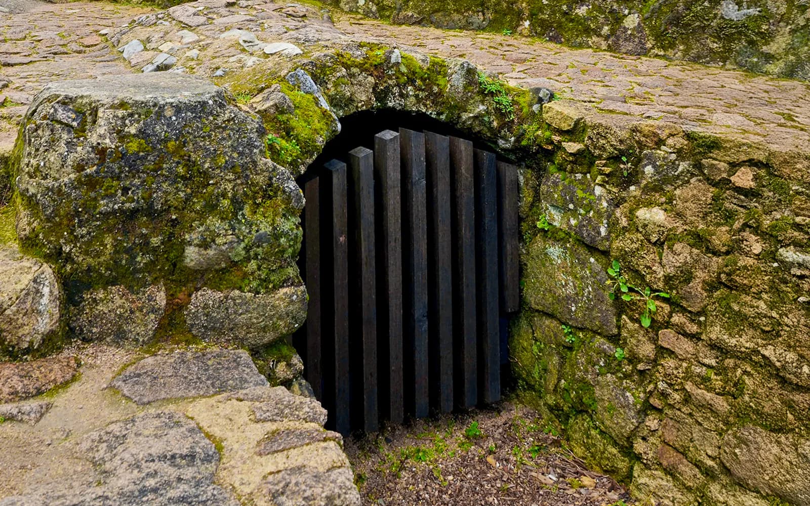 Moorish Castle Entry Tickets - image 9