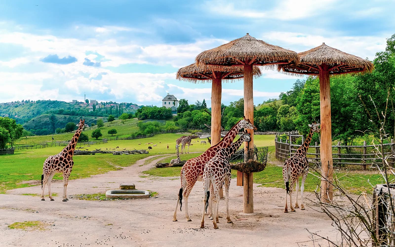 Prague Zoo Tickets - image 3