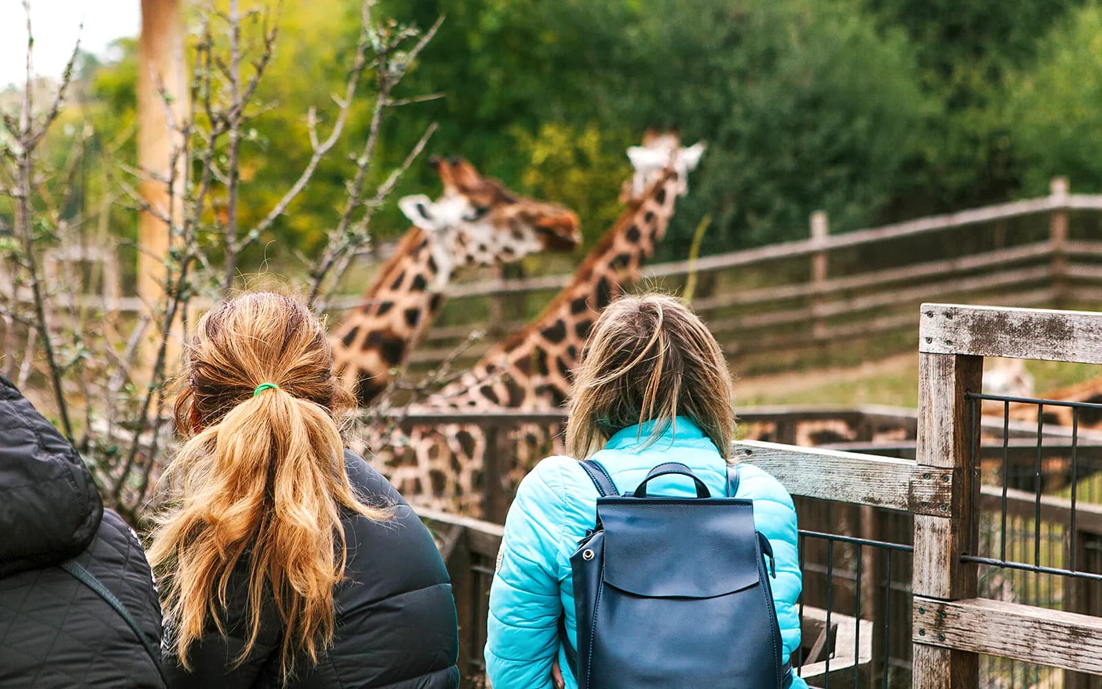 Prague Zoo Tickets - image 8