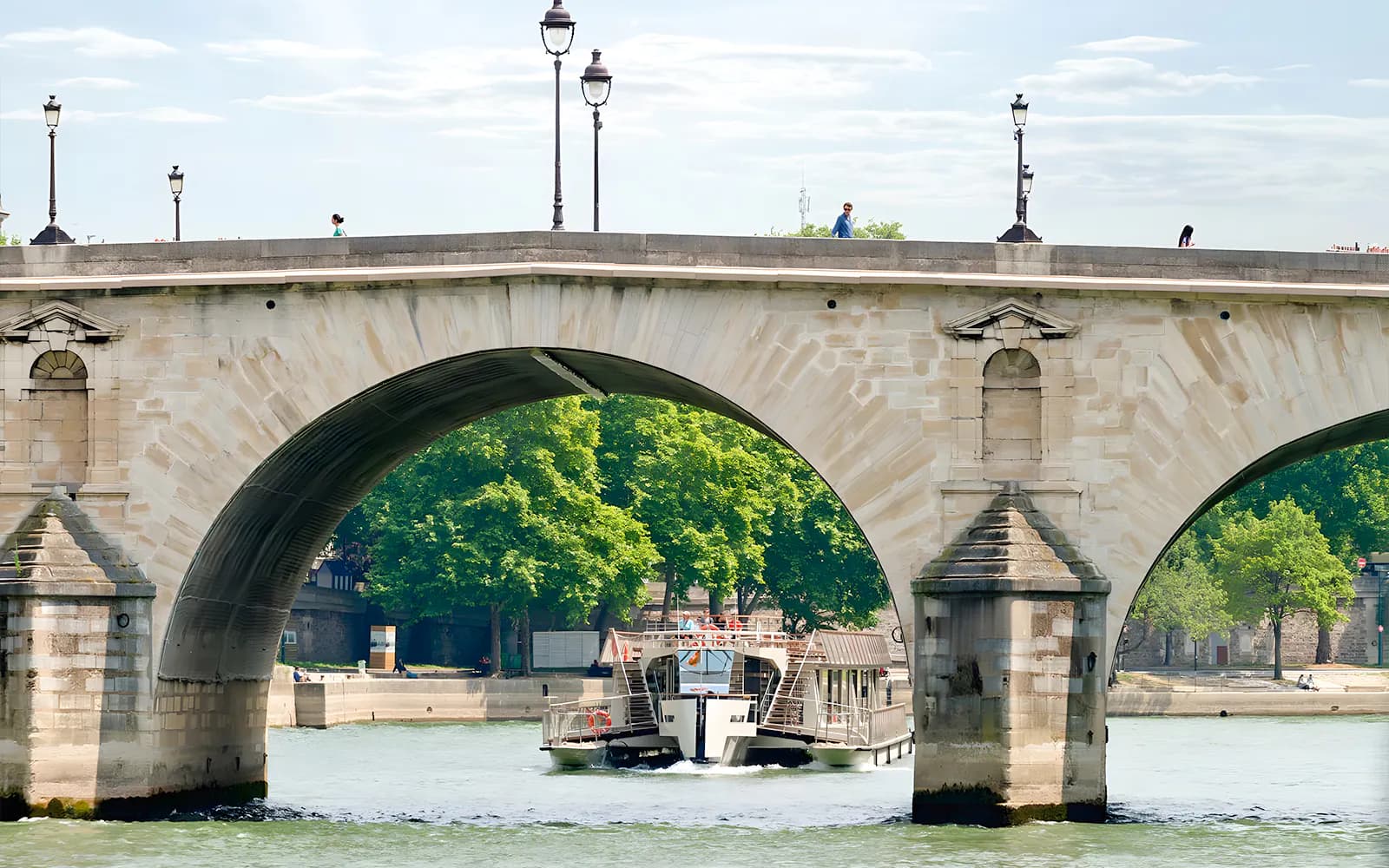 Seine River 1-Hour Sightseeing Cruise from the Eiffel Tower - image 8