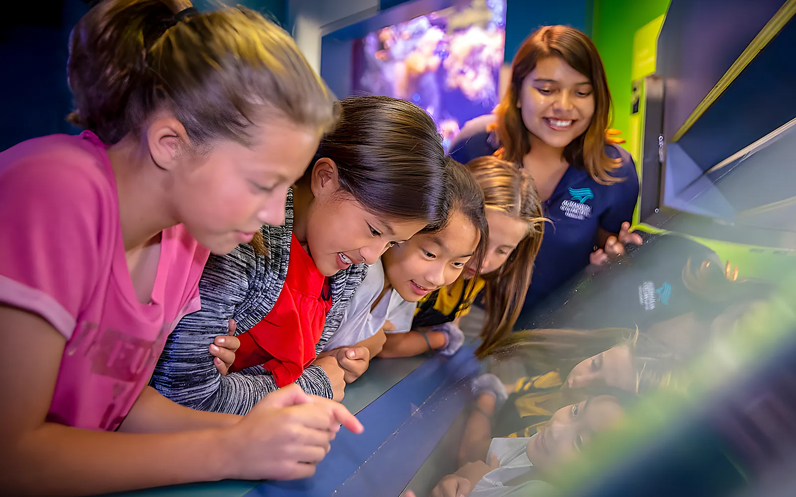 Aquarium of the Pacific Skip-the-Line Tickets - image 5