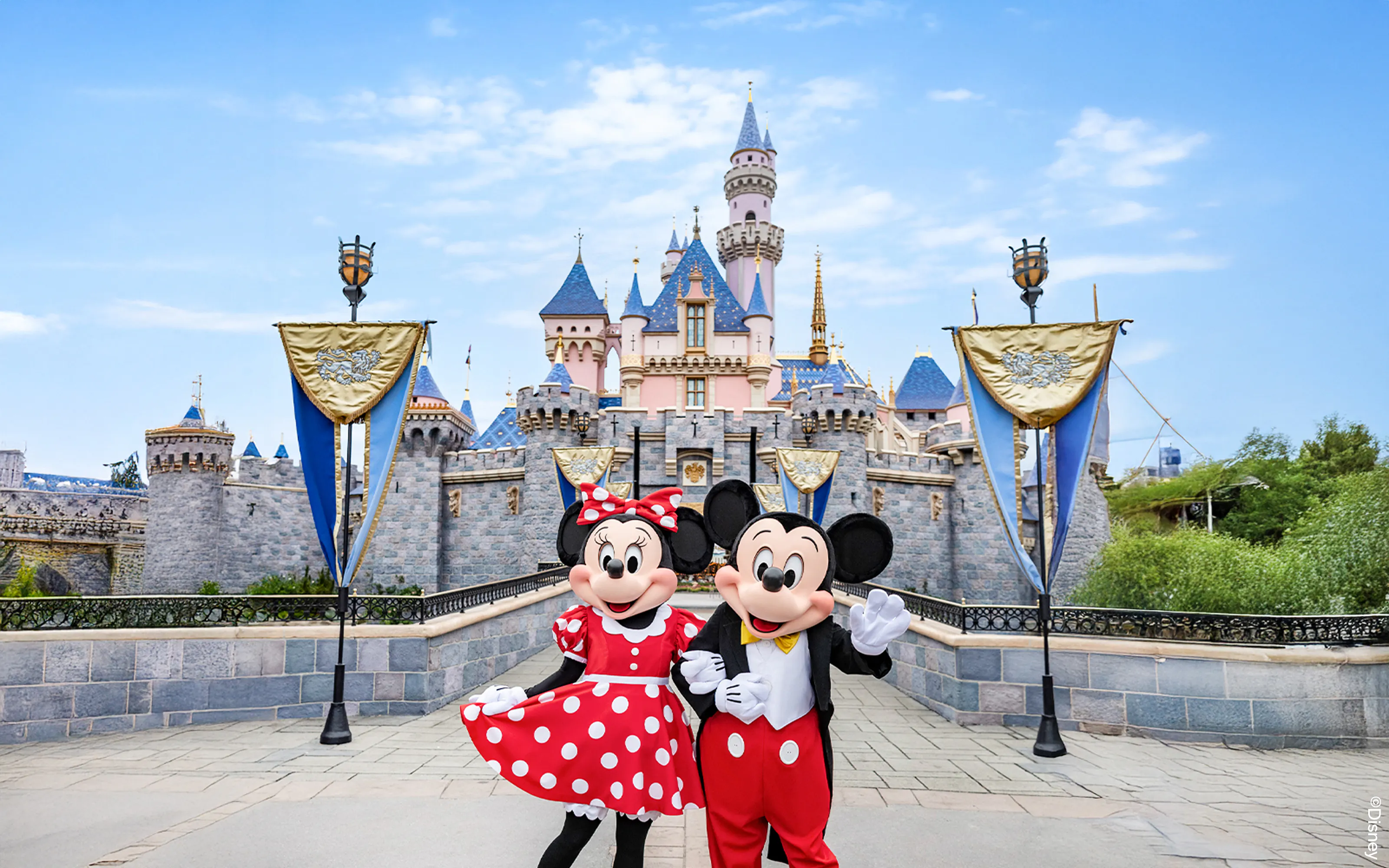 Disneyland California 1-Day Tickets