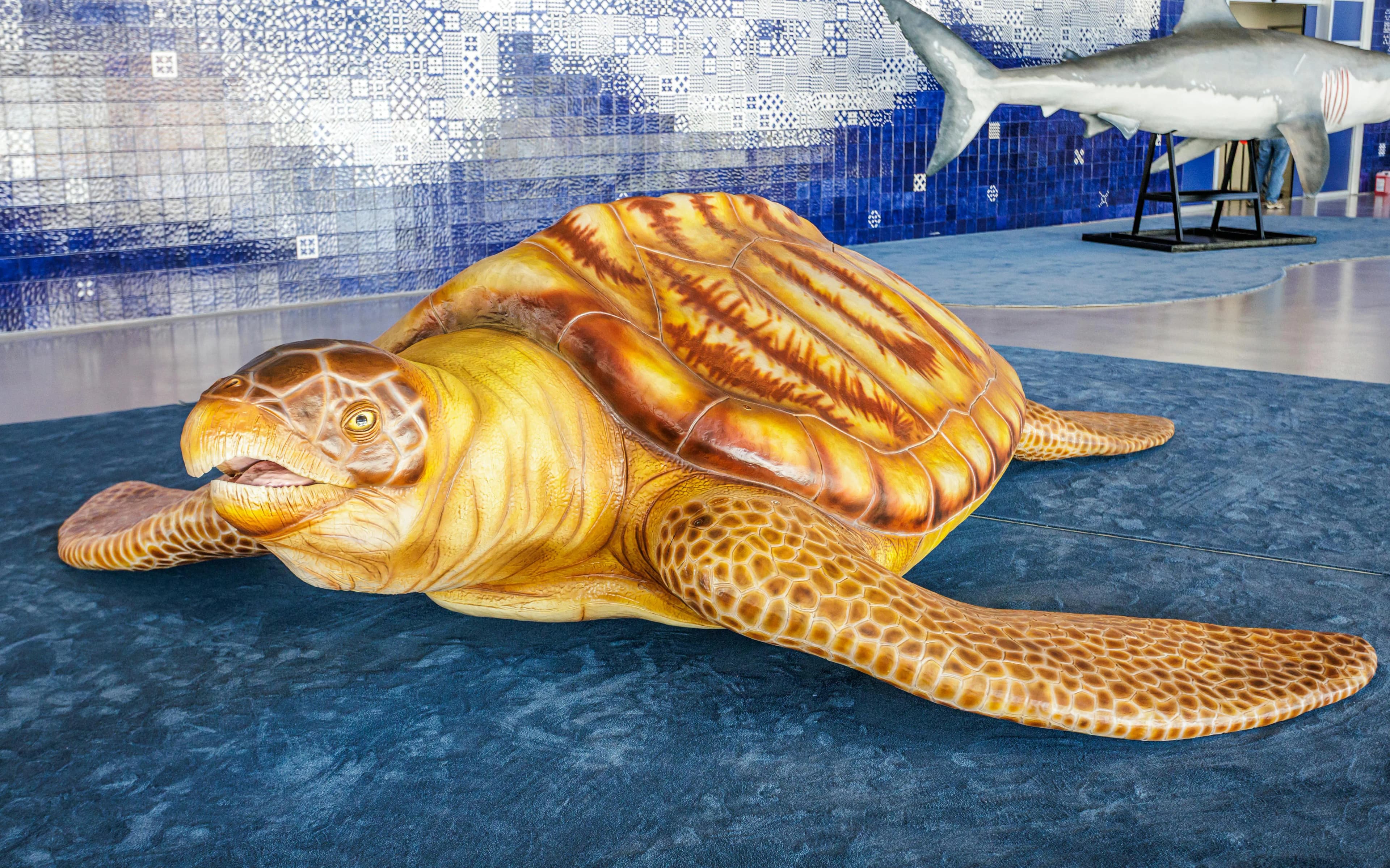 Oceanário de Lisboa Tickets - image 6