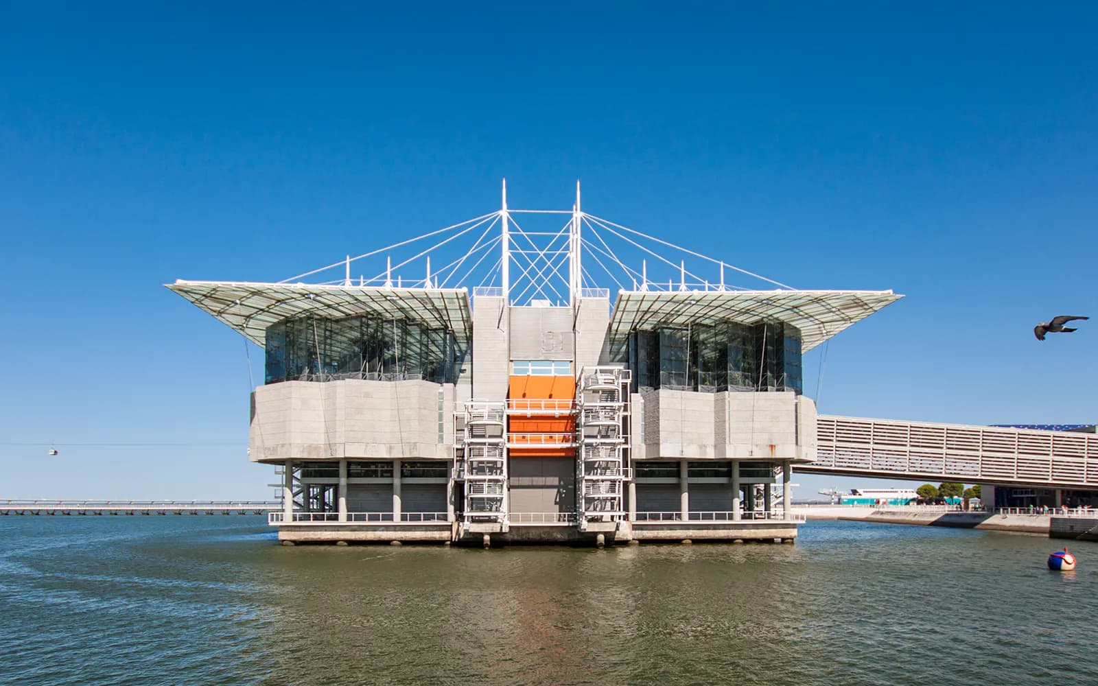 Oceanário de Lisboa Tickets - image 5