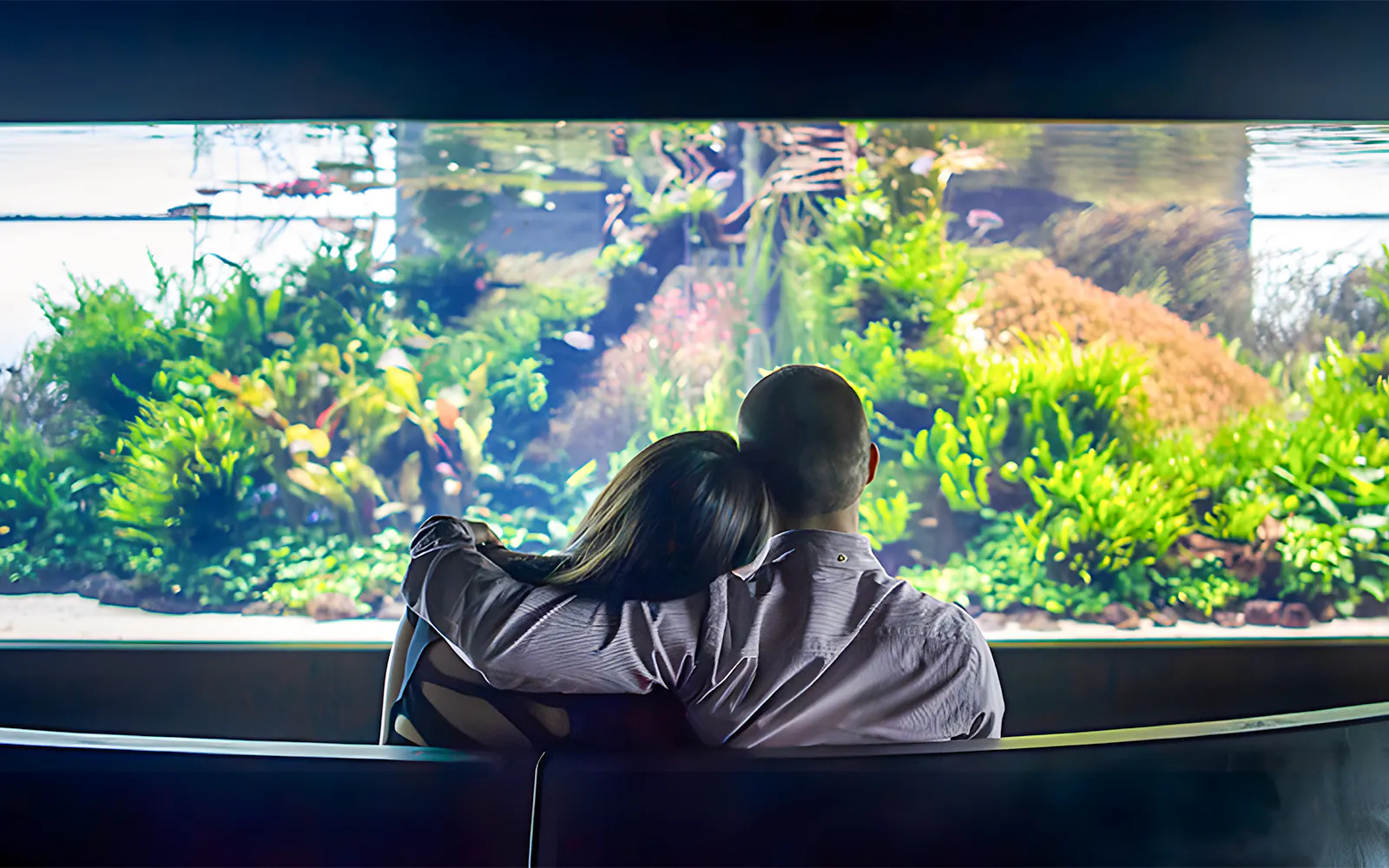 Oceanário de Lisboa Tickets - image 7