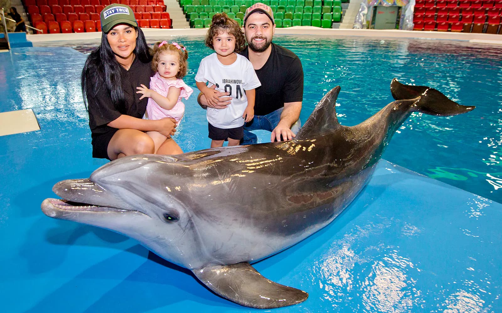 Dubai Dolphinarium: Dolphin & Seal Show Tickets - image 3