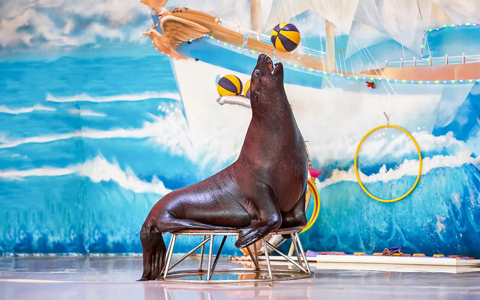 Dubai Dolphinarium: Dolphin & Seal Show Tickets - image 6