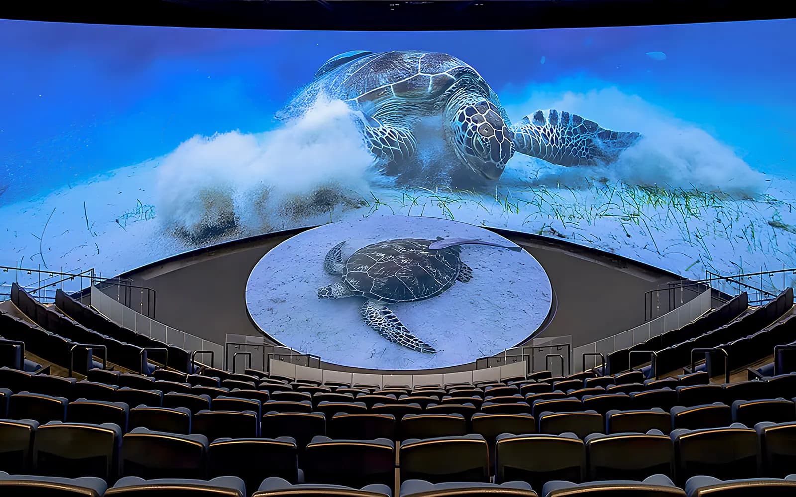 Aquarium of the Pacific Skip-the-Line Tickets - image 10