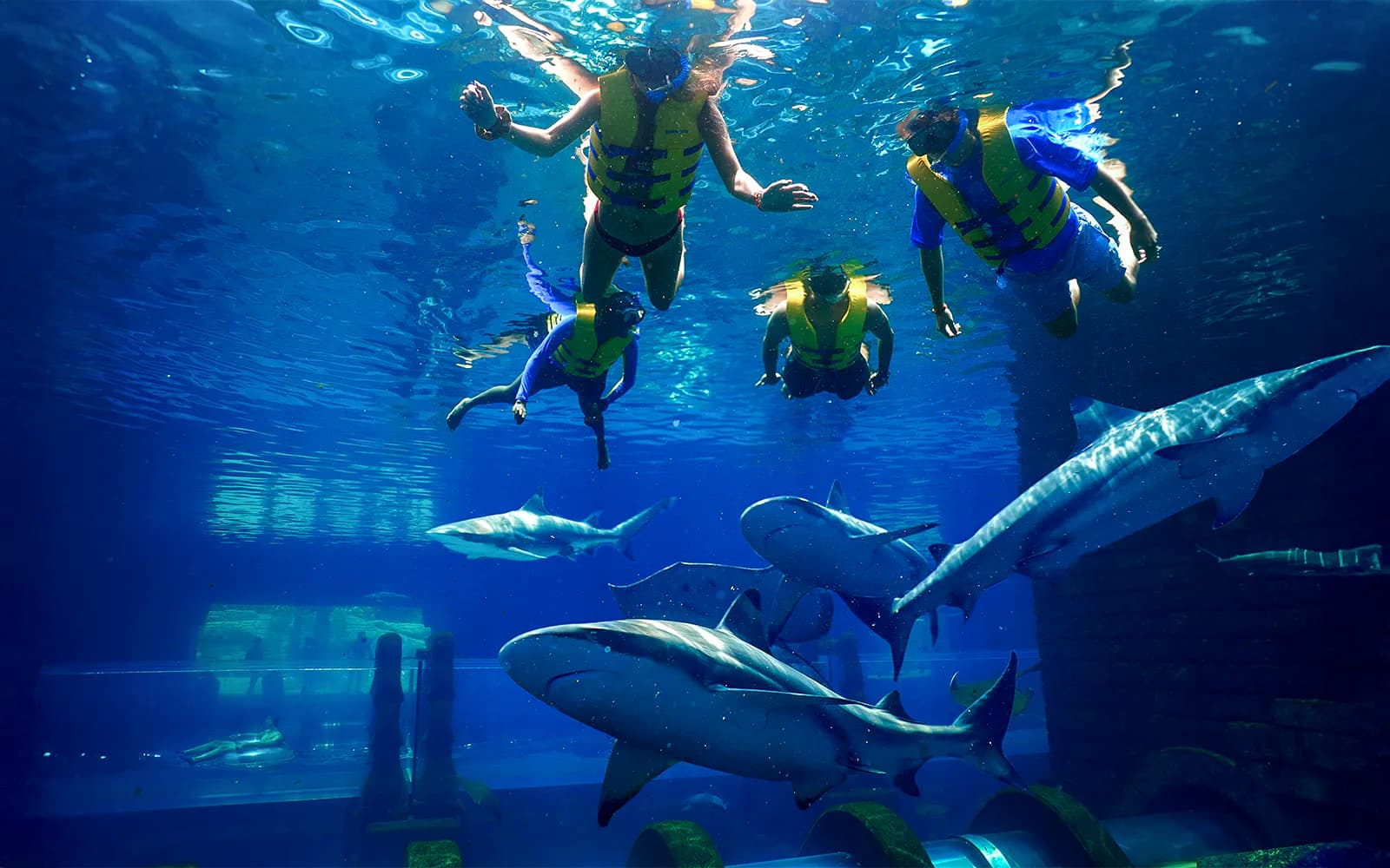 Atlantis Aquaventure Waterpark Tickets - image 9