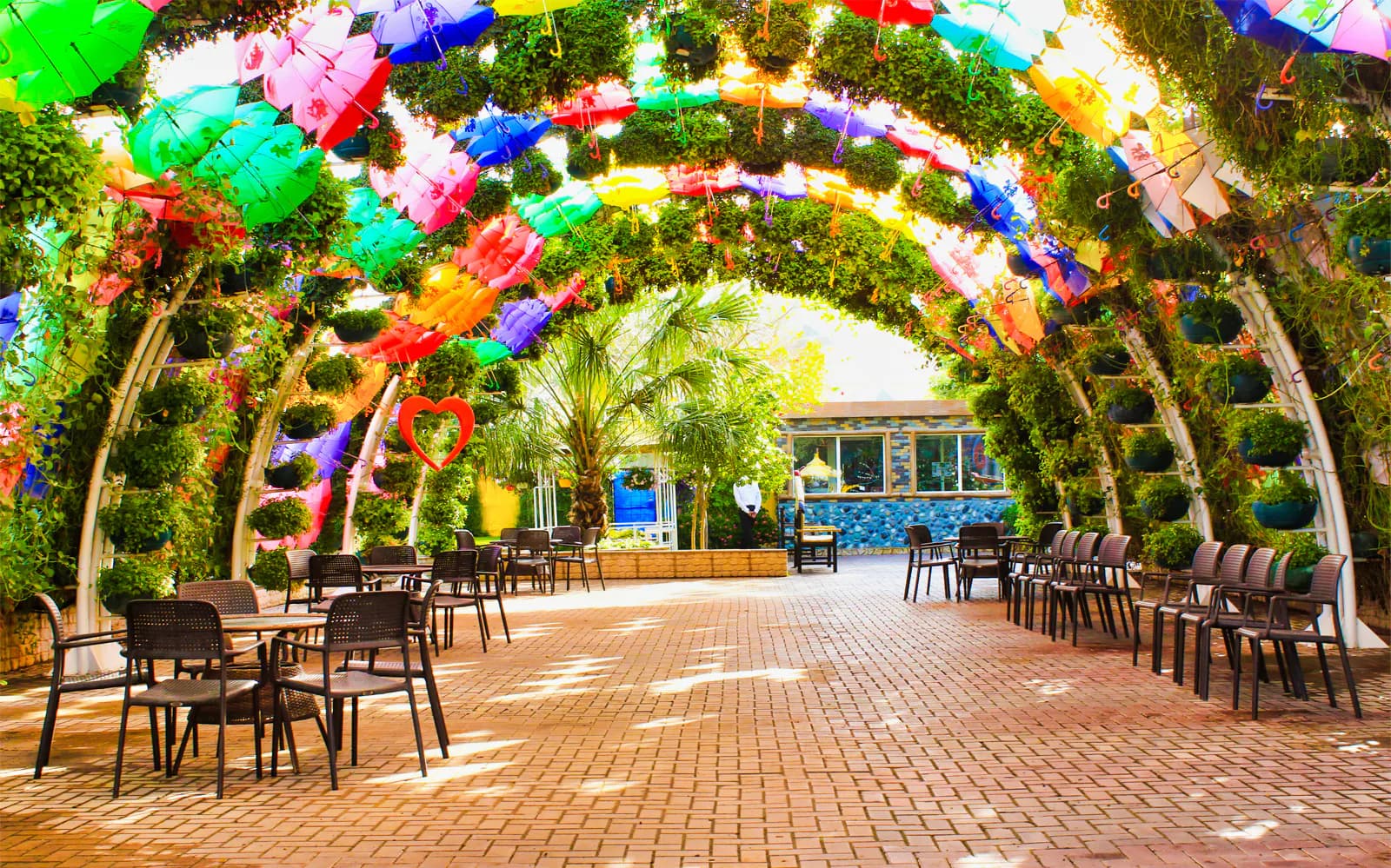 Dubai Butterfly Garden Skip-the-Line Tickets - image 6