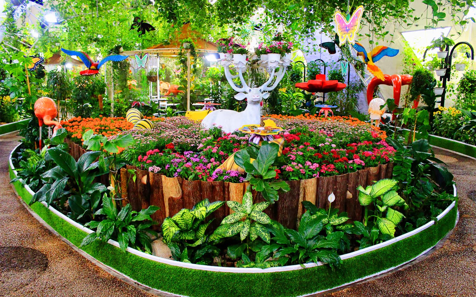 Dubai Butterfly Garden Skip-the-Line Tickets - image 2